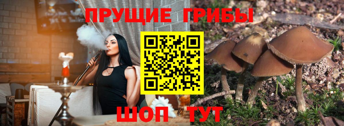 Галлюциногенные грибы GOLDEN TEACHER Новозыбков
